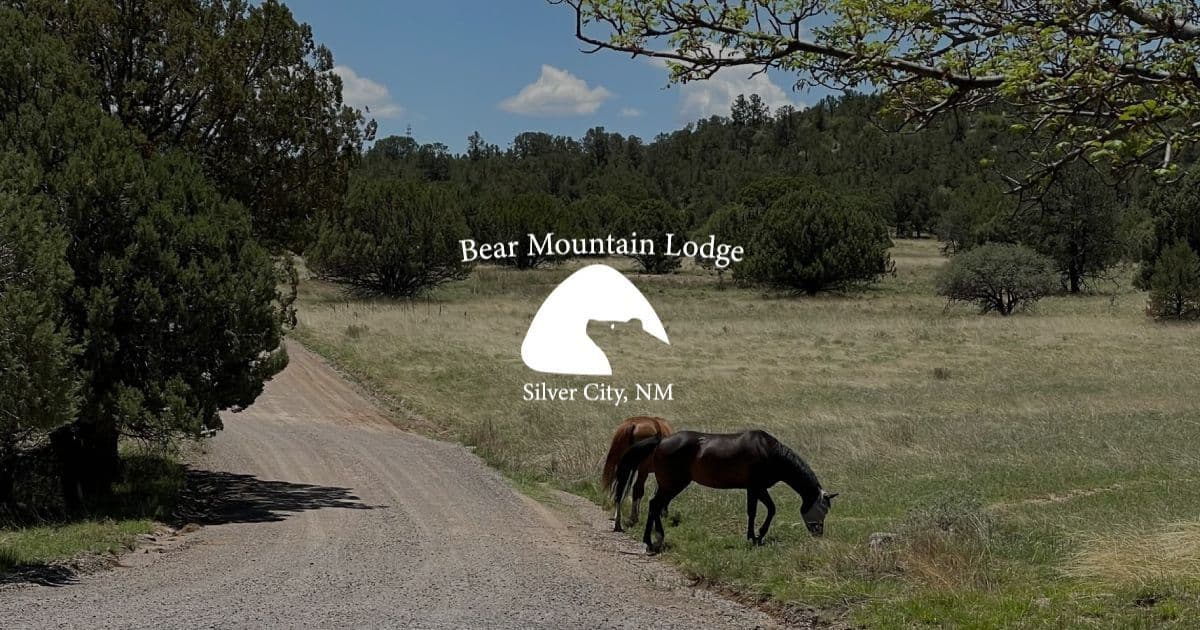 Bear Mountain Lodge Ranch