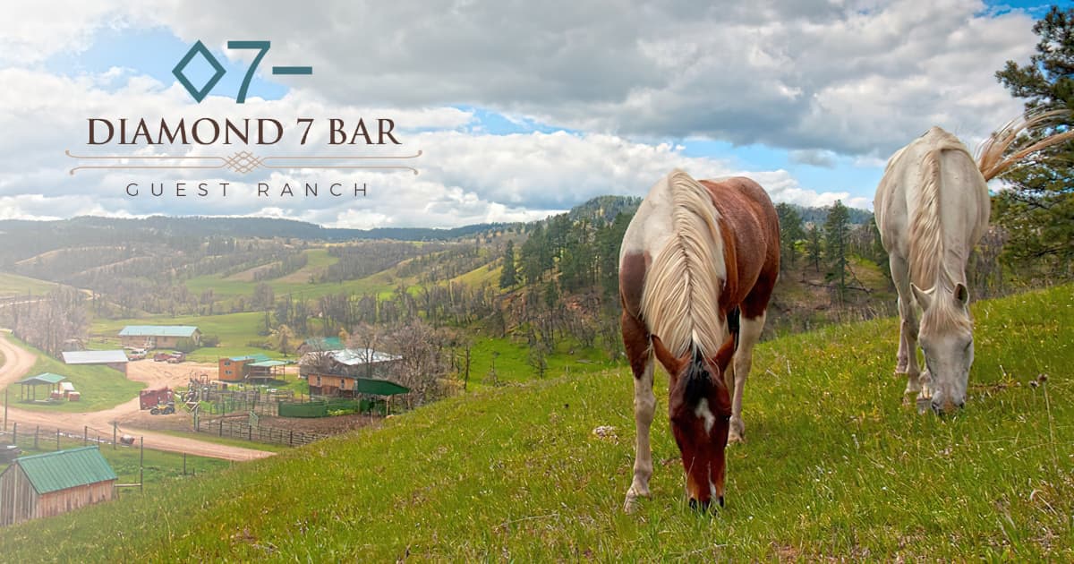 Diamond 7 Bar Guest Ranch
