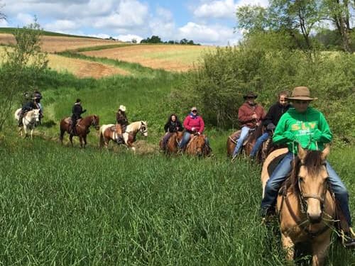 KD Guest Ranch