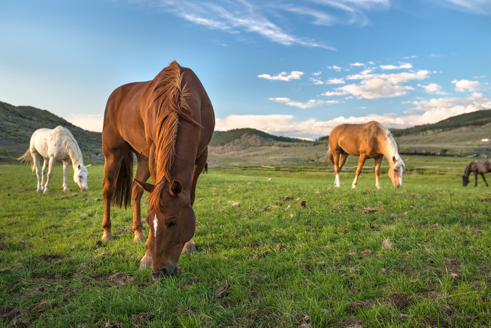 Sundance Guest Ranch